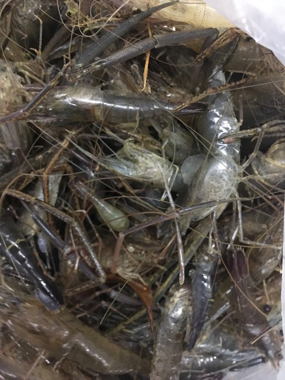 饭堂外包 饭堂外包